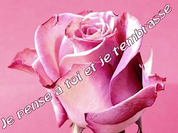 jpense a toa et jtembrasse